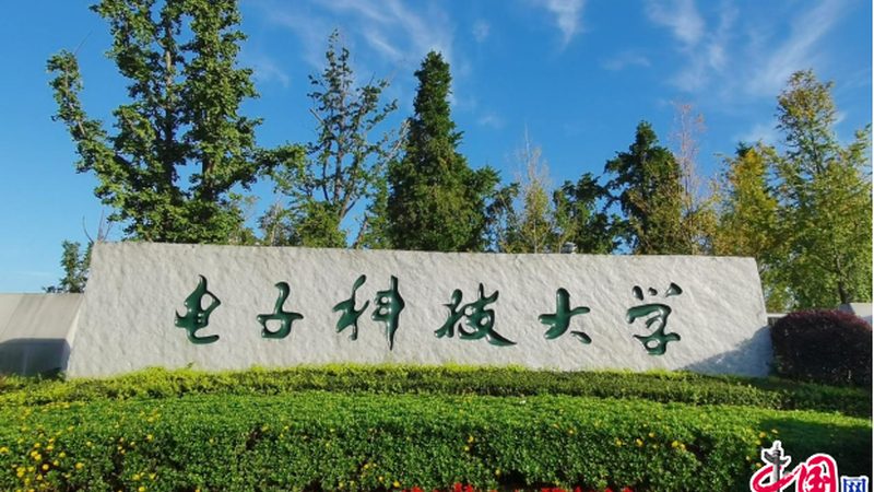 电路板定制：五大关键注意事项，保障品质与性能